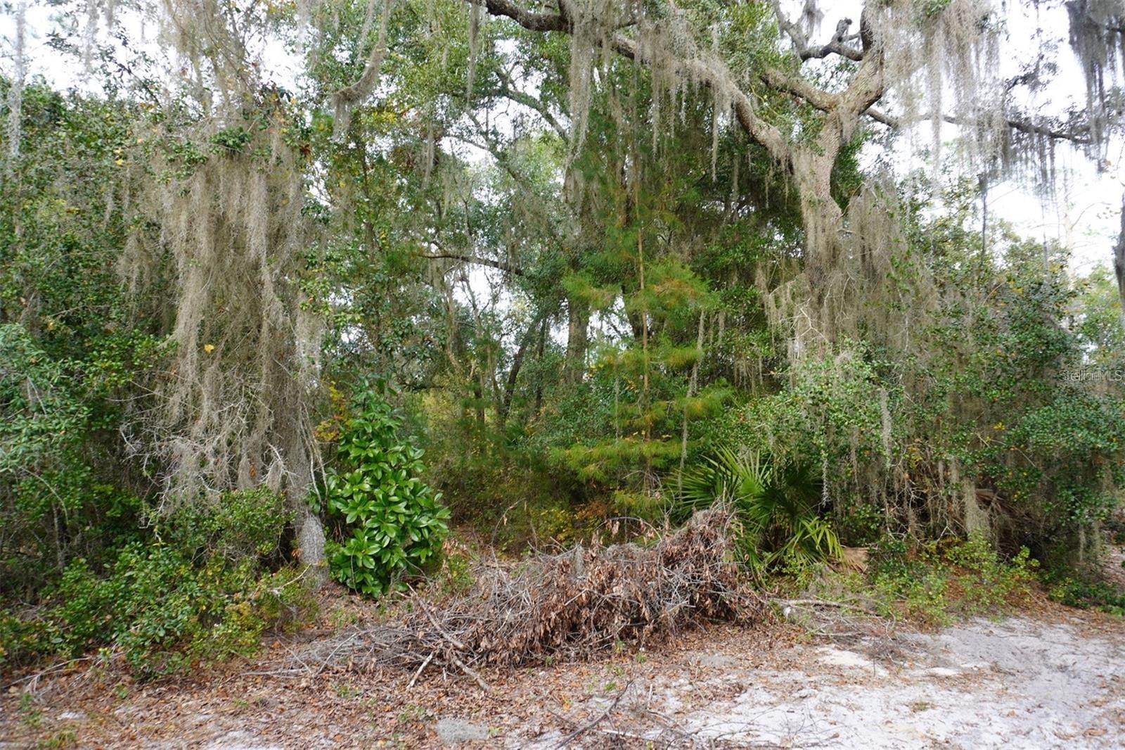 WEST PKWY, DELAND, FL, 32724