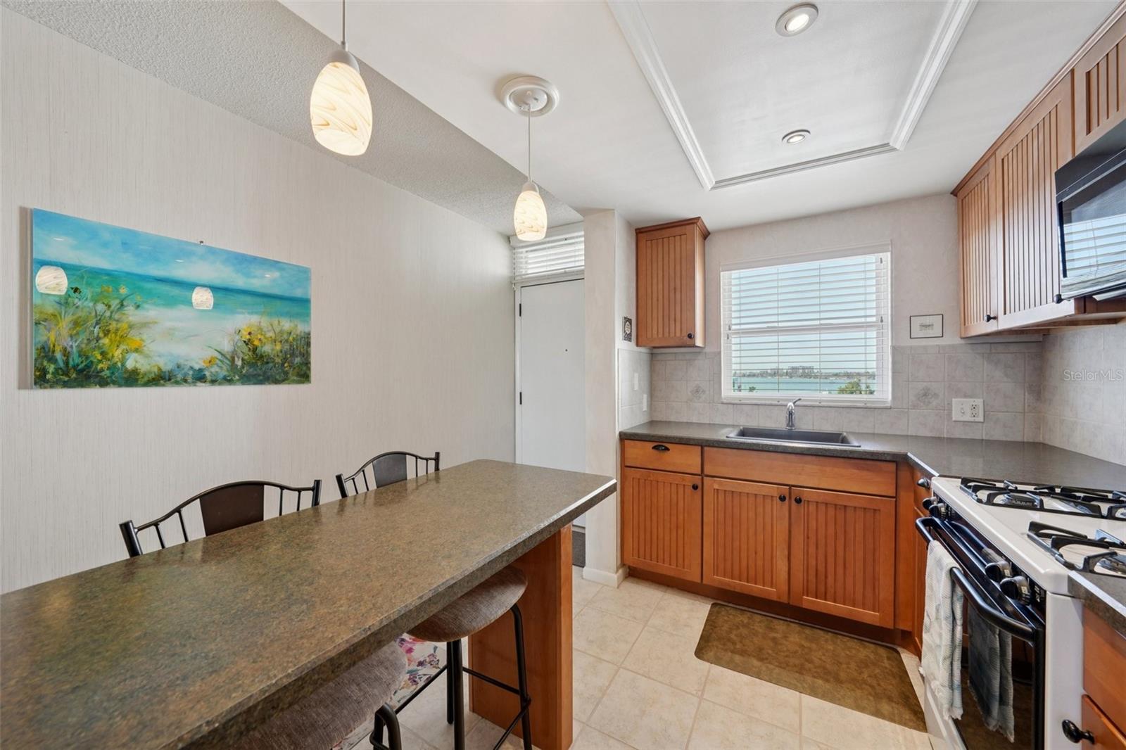 1847 SHORE DR S #711, SOUTH PASADENA, FL, 33707