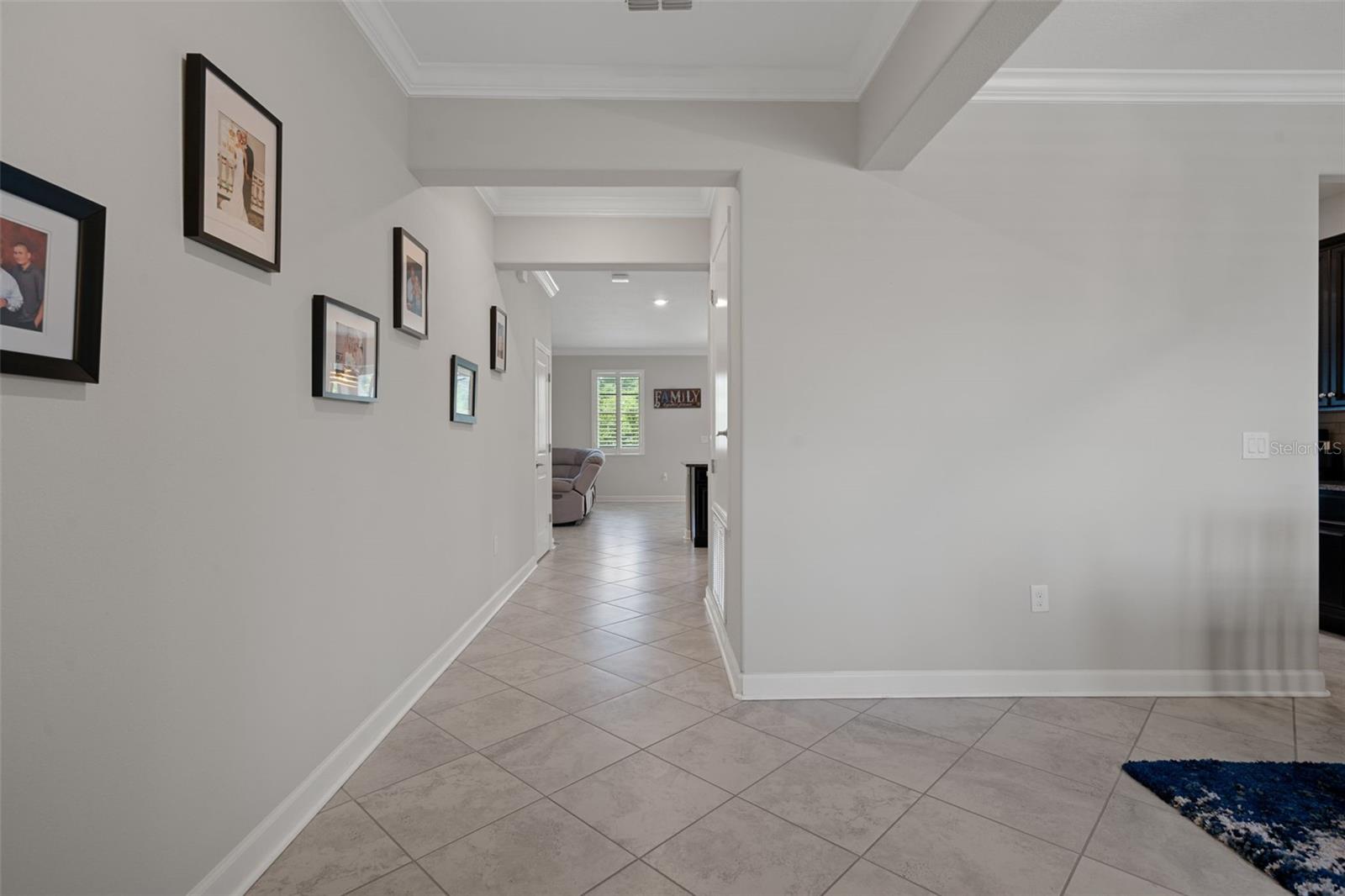 8755 FLOURISH DR, LAND O LAKES, FL, 34637