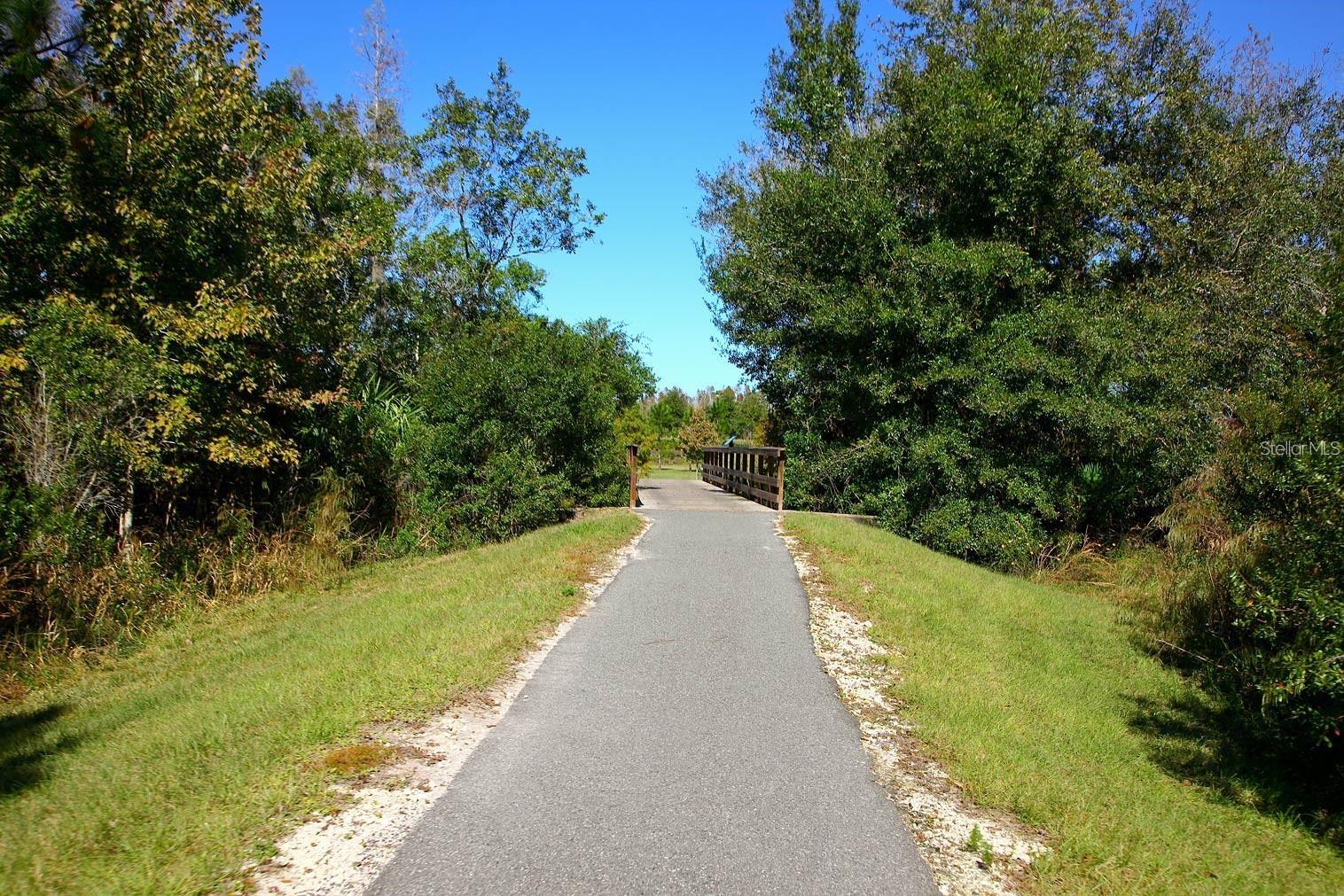 8755 FLOURISH DR, LAND O LAKES, FL, 34637