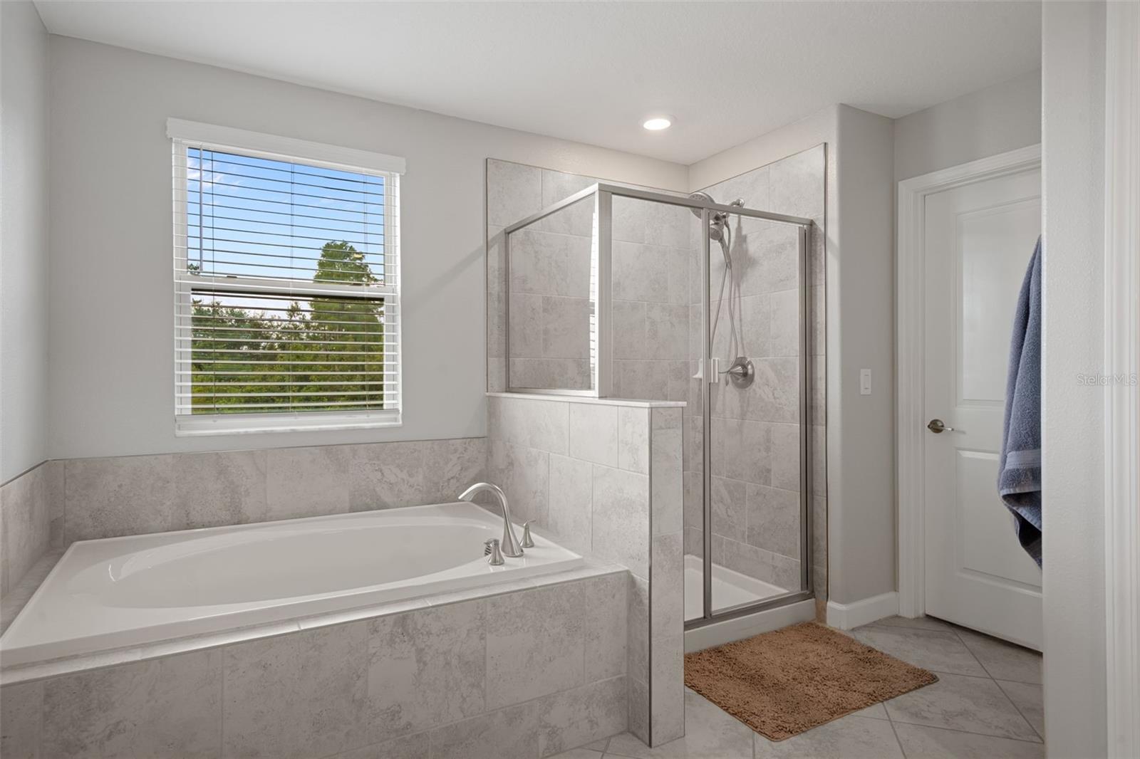 8755 FLOURISH DR, LAND O LAKES, FL, 34637