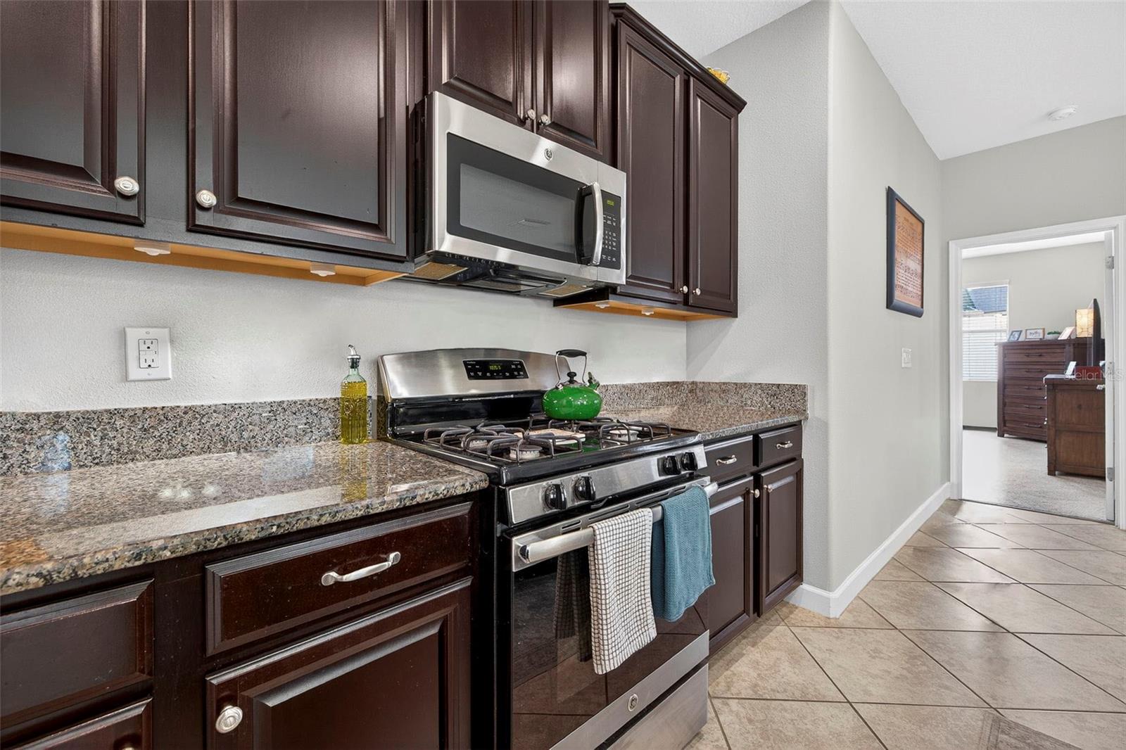 1012 OLIVETO VERDI CT, BRANDON, FL, 33511