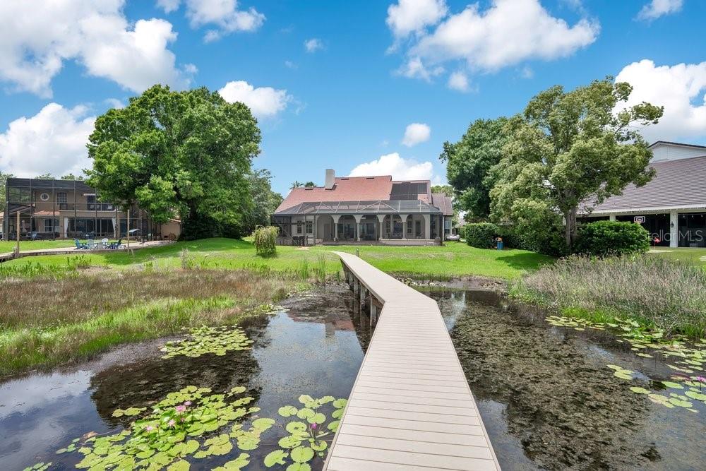 2503 BUTLER BAY DR N, WINDERMERE, FL, 34786
