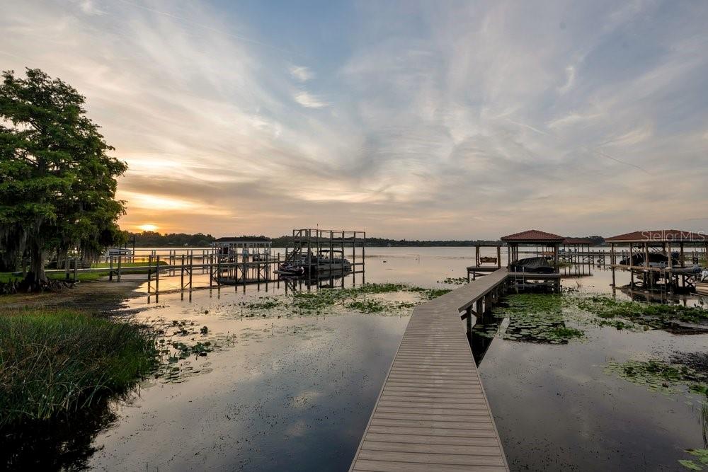 2503 BUTLER BAY DR N, WINDERMERE, FL, 34786