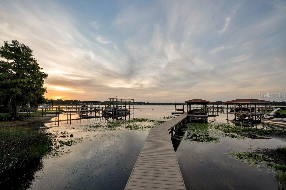 2503 BUTLER BAY DR N, WINDERMERE, FL, 34786