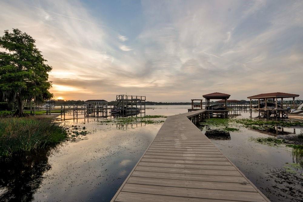 2503 BUTLER BAY DR N, WINDERMERE, FL, 34786