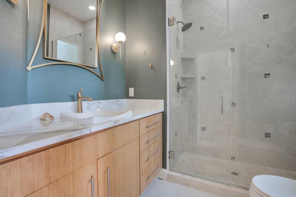 2503 BUTLER BAY DR N, WINDERMERE, FL, 34786