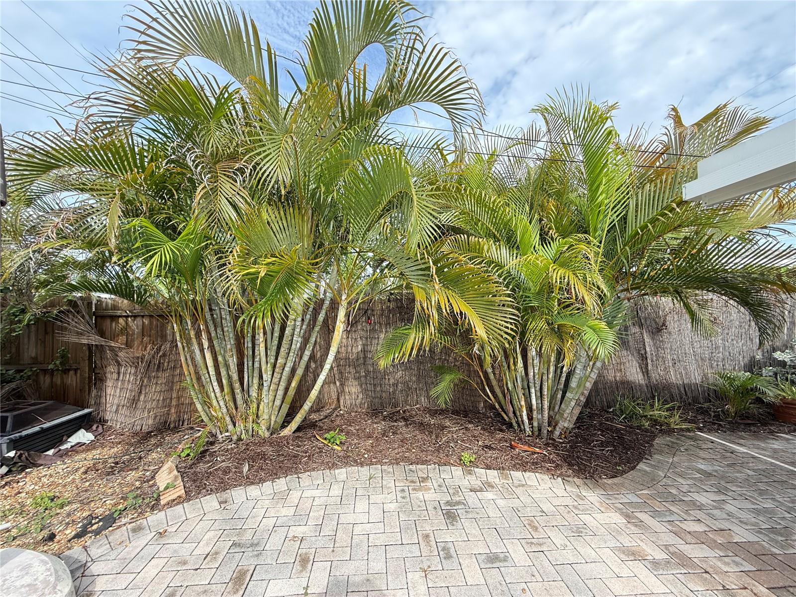 2100 8TH AVE SW, LARGO, FL, 33770
