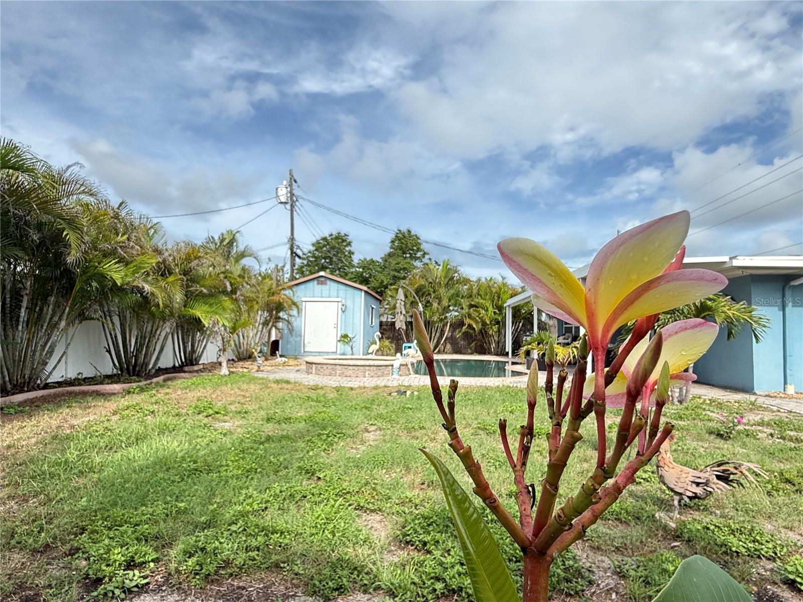 2100 8TH AVE SW, LARGO, FL, 33770