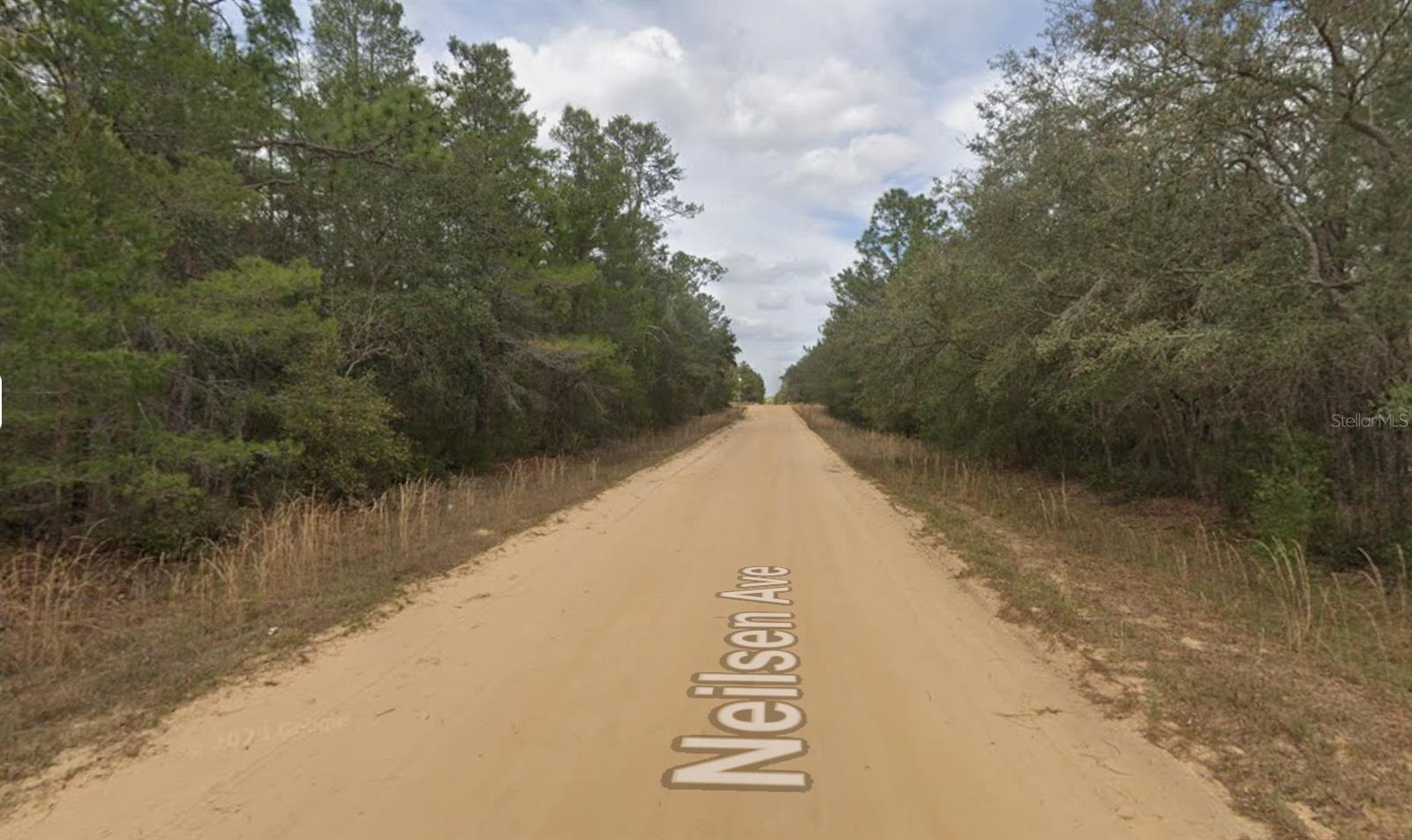 NEILSON AVE, INTERLACHEN, FL, 32148