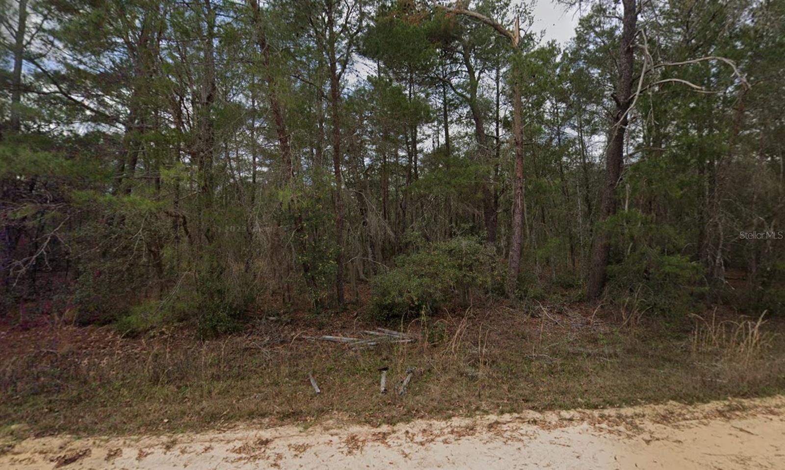 NEILSON AVE, INTERLACHEN, FL, 32148