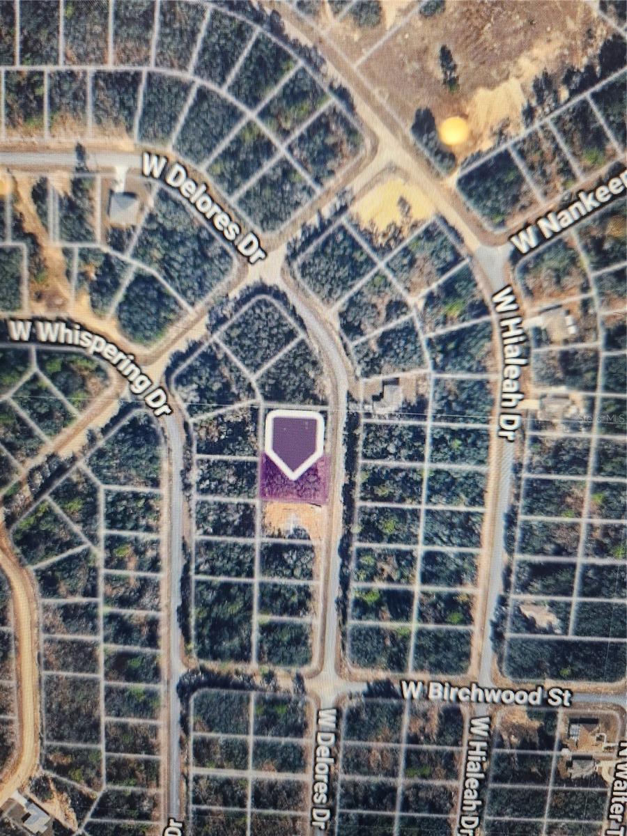 1360 W DOLORES DR, CITRUS SPRINGS, FL, 34434