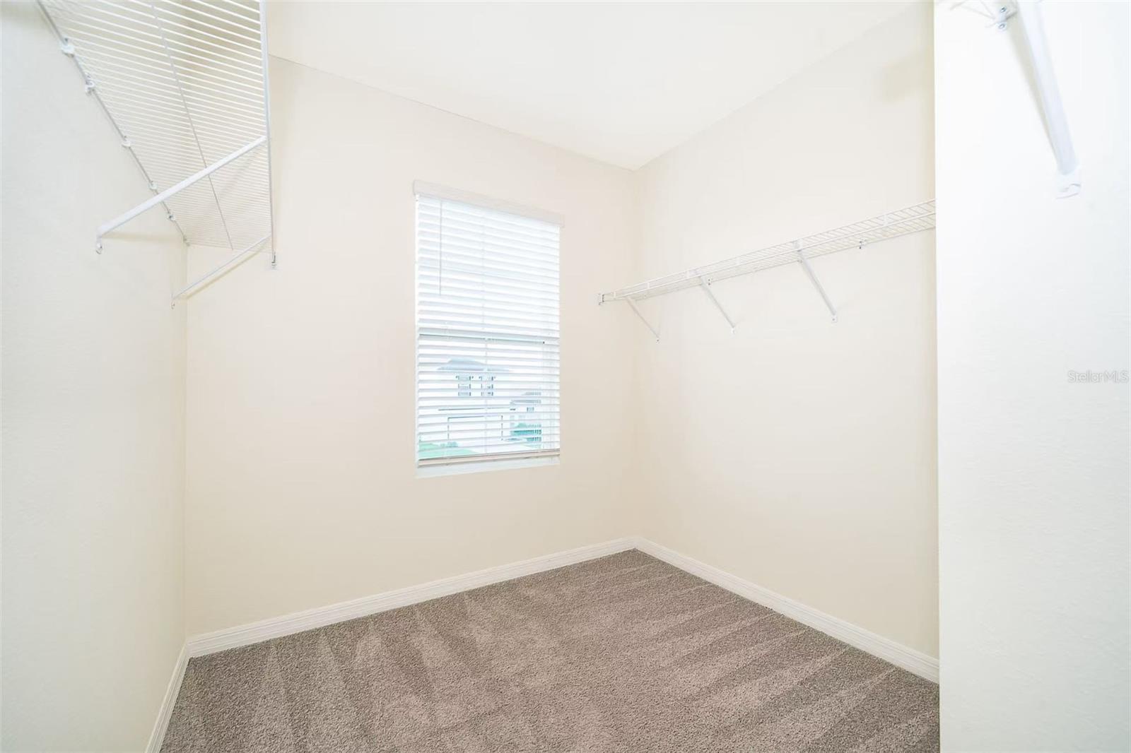 30915 PENNY SURF LOOP, WESLEY CHAPEL, FL, 33545
