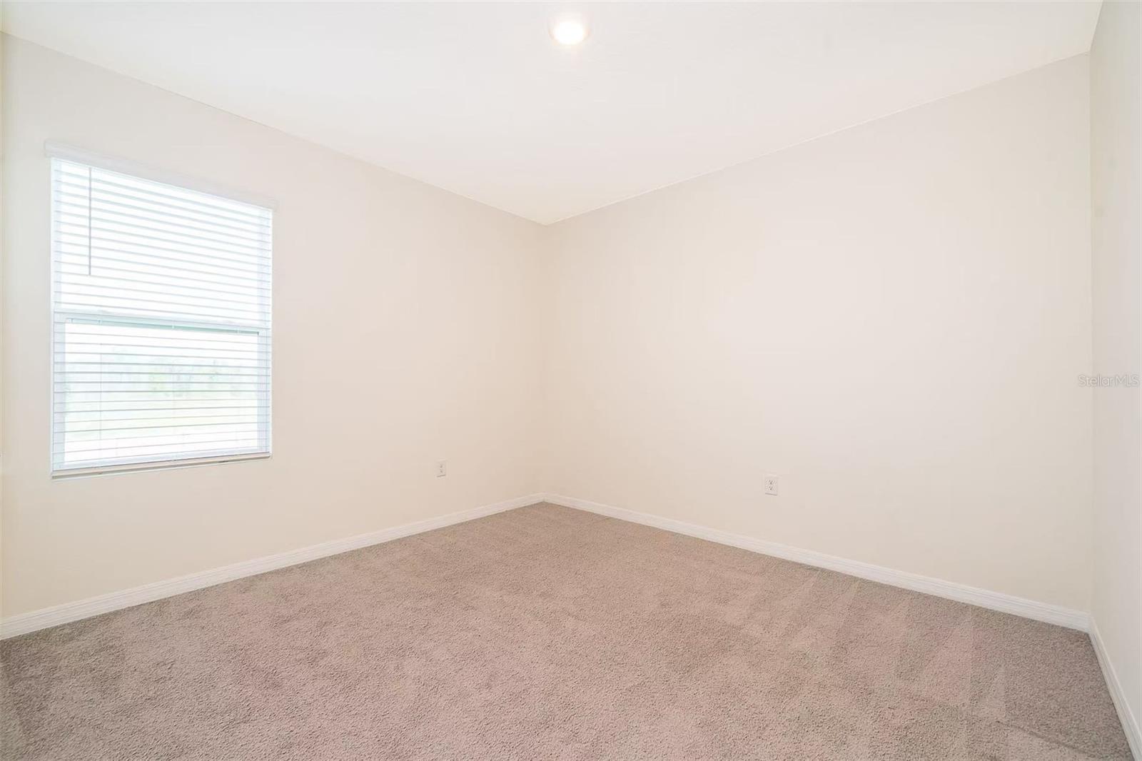 30915 PENNY SURF LOOP, WESLEY CHAPEL, FL, 33545