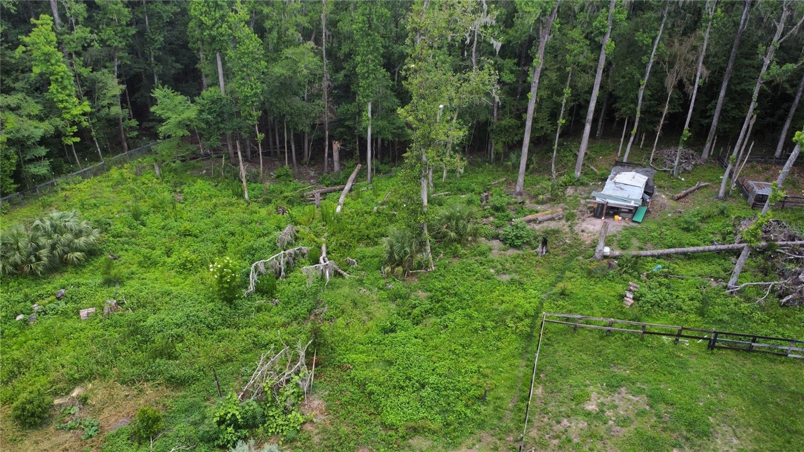 16945 NW 128TH TER, REDDICK, FL, 32686
