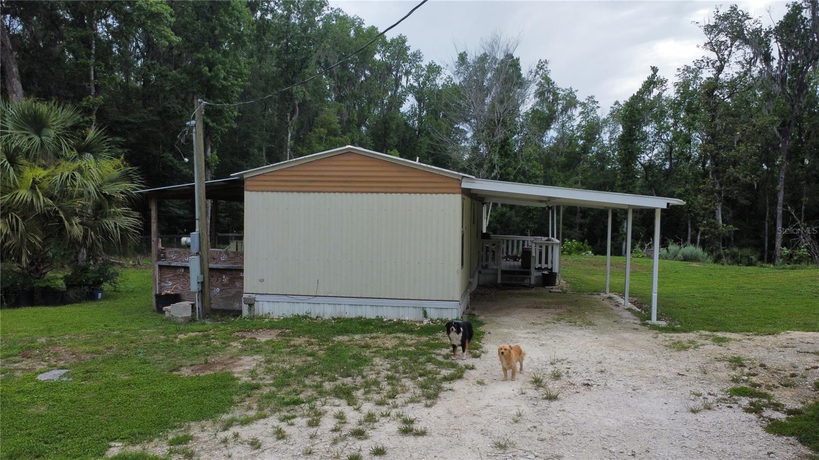 16945 NW 128TH TER, REDDICK, FL, 32686