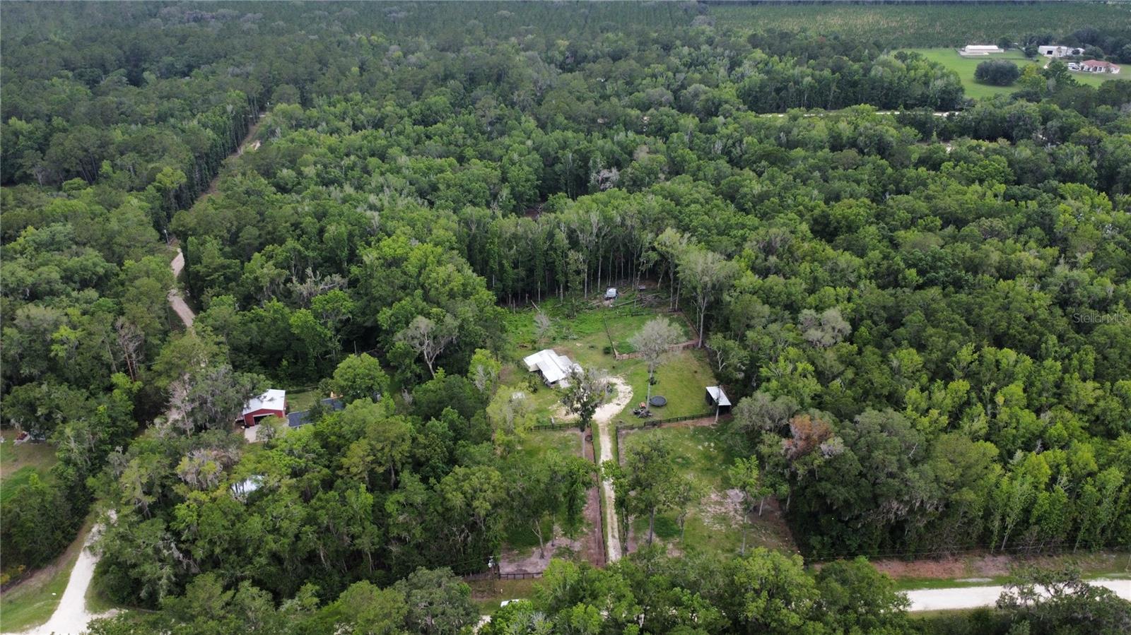 16945 NW 128TH TER, REDDICK, FL, 32686
