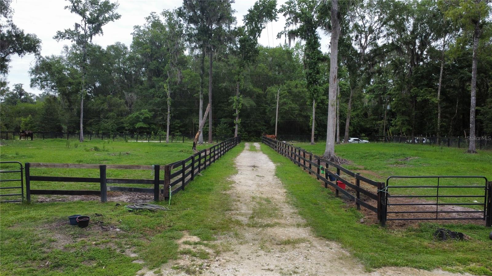 16945 NW 128TH TER, REDDICK, FL, 32686