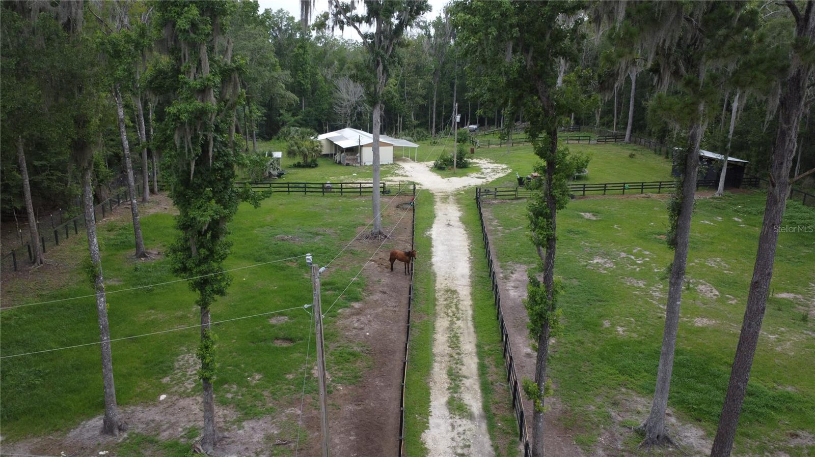 16945 NW 128TH TER, REDDICK, FL, 32686