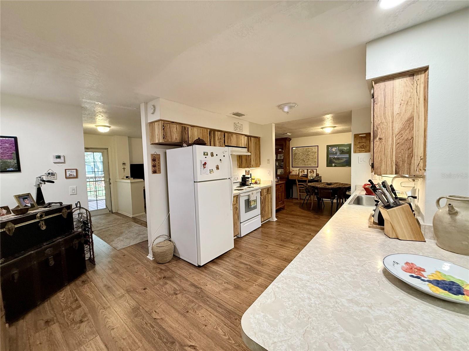 13828 FRIENDSHIP LN, ODESSA, FL, 33556