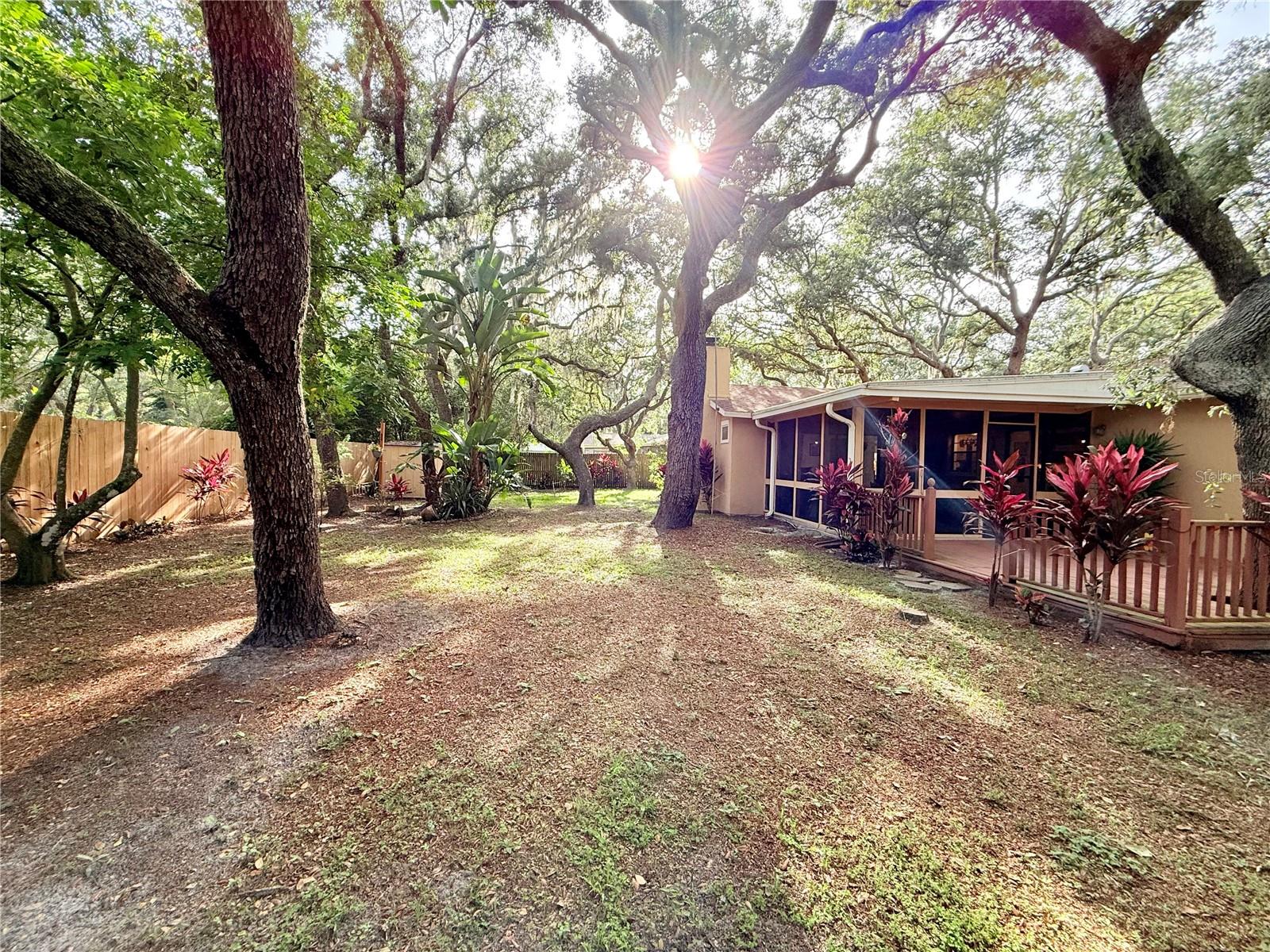 13828 FRIENDSHIP LN, ODESSA, FL, 33556