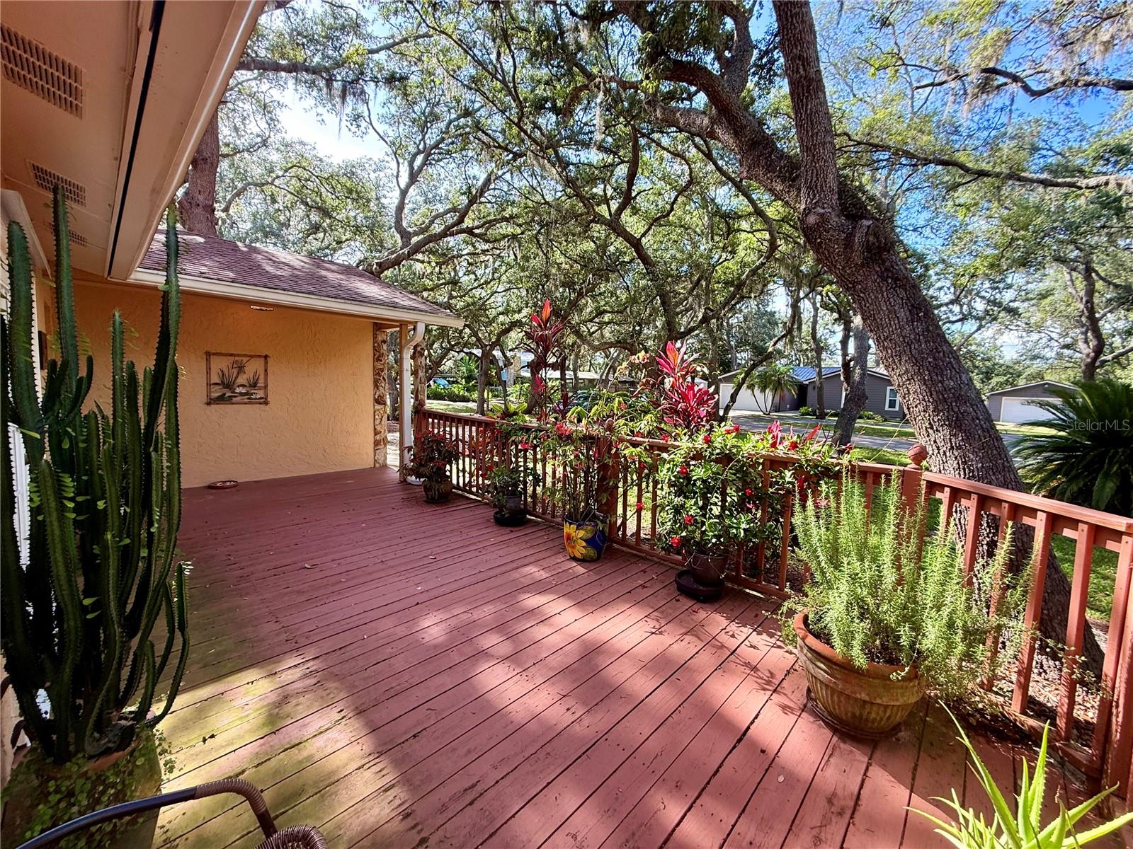 13828 FRIENDSHIP LN, ODESSA, FL, 33556
