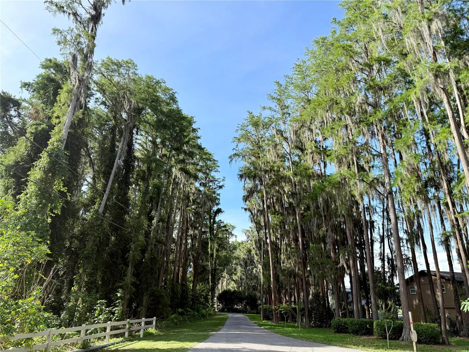 13828 FRIENDSHIP LN, ODESSA, FL, 33556