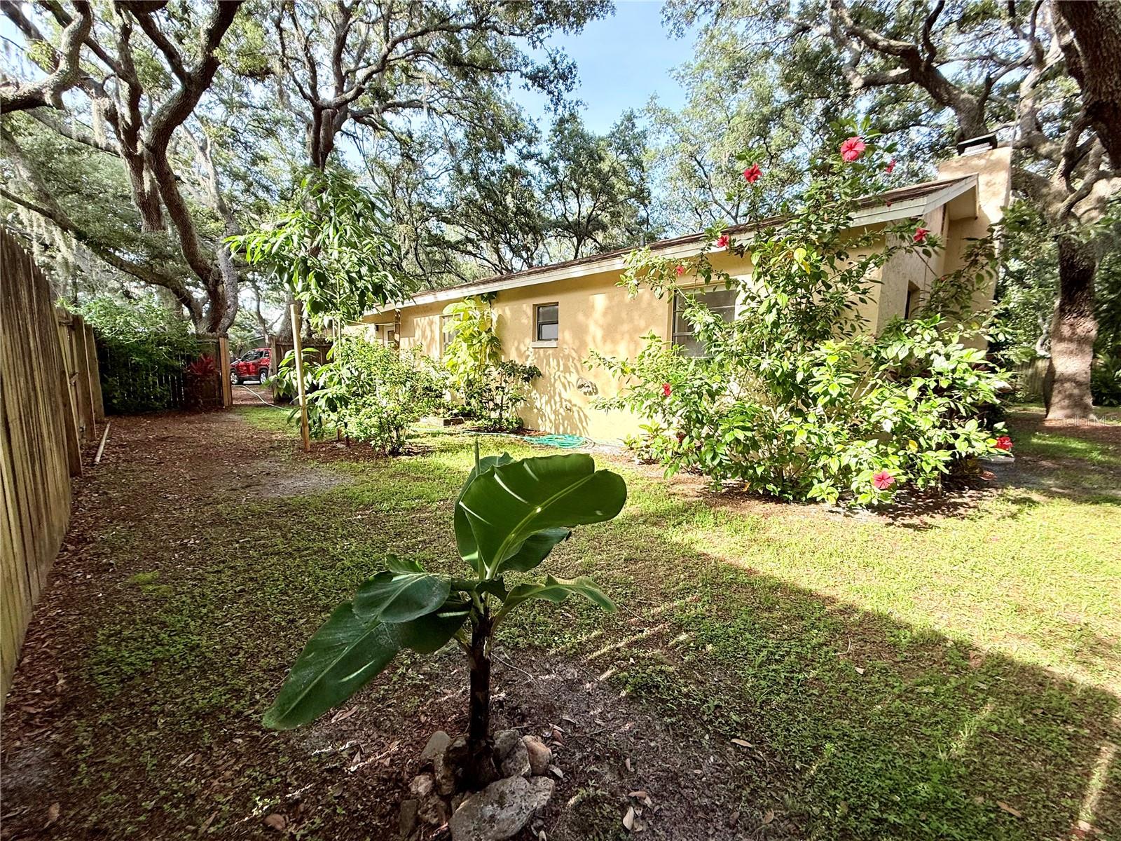 13828 FRIENDSHIP LN, ODESSA, FL, 33556