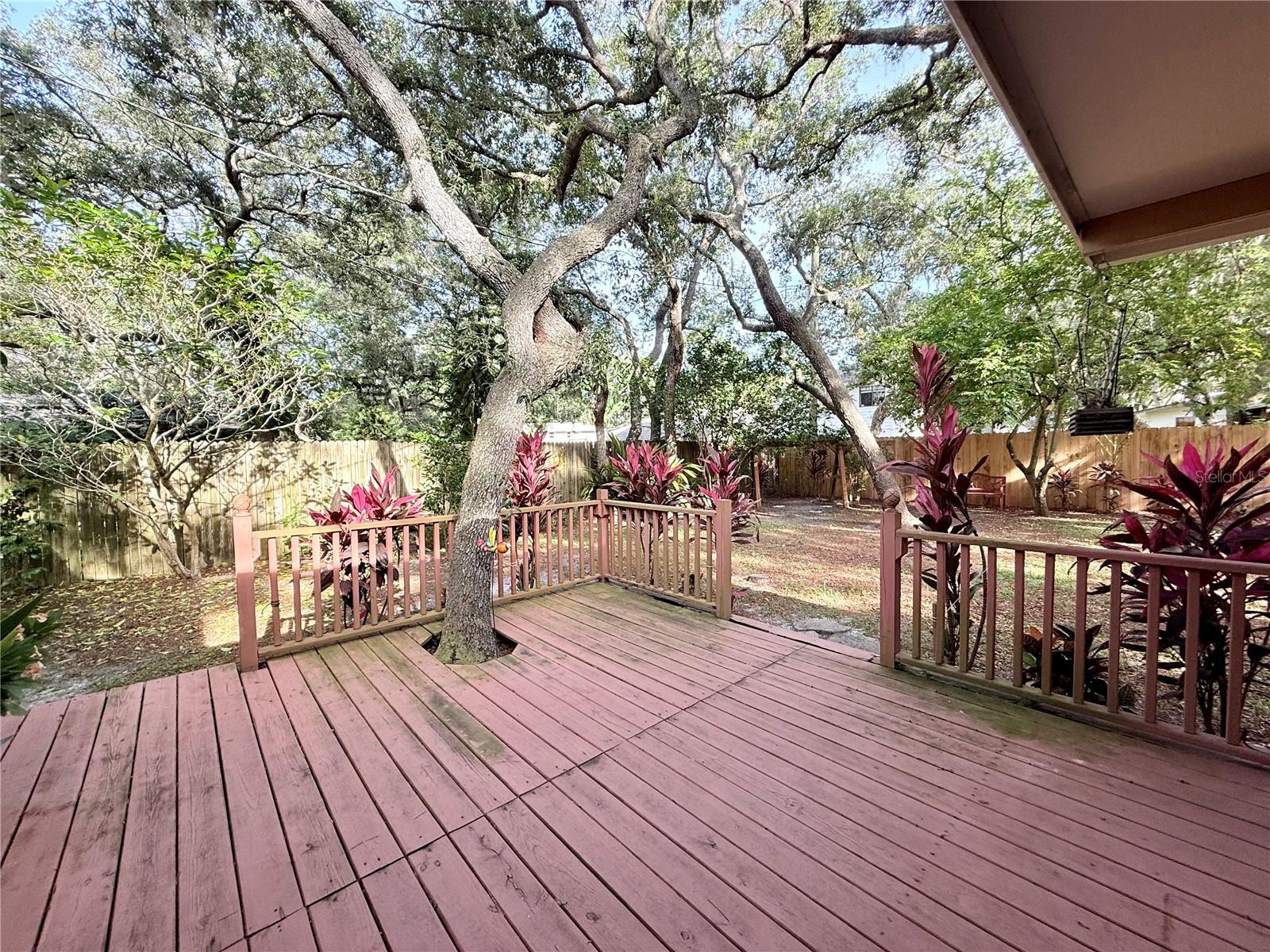 13828 FRIENDSHIP LN, ODESSA, FL, 33556