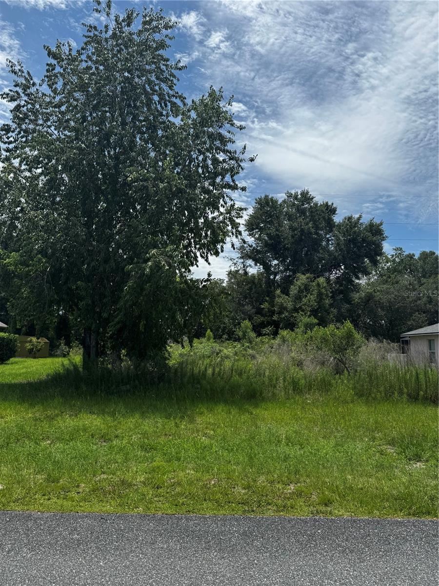 tbd SW 46TH CT, OCALA, FL, 34473