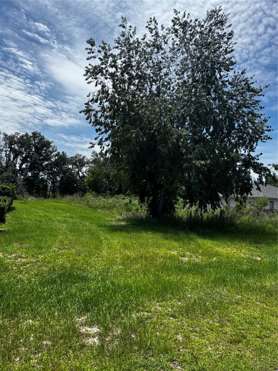 tbd SW 46TH CT, OCALA, FL, 34473
