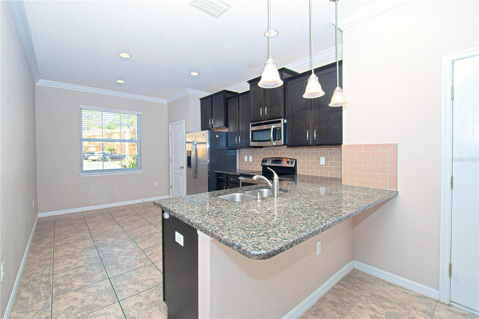 13967 RIVER WILLOW PL, TAMPA, FL, 33637