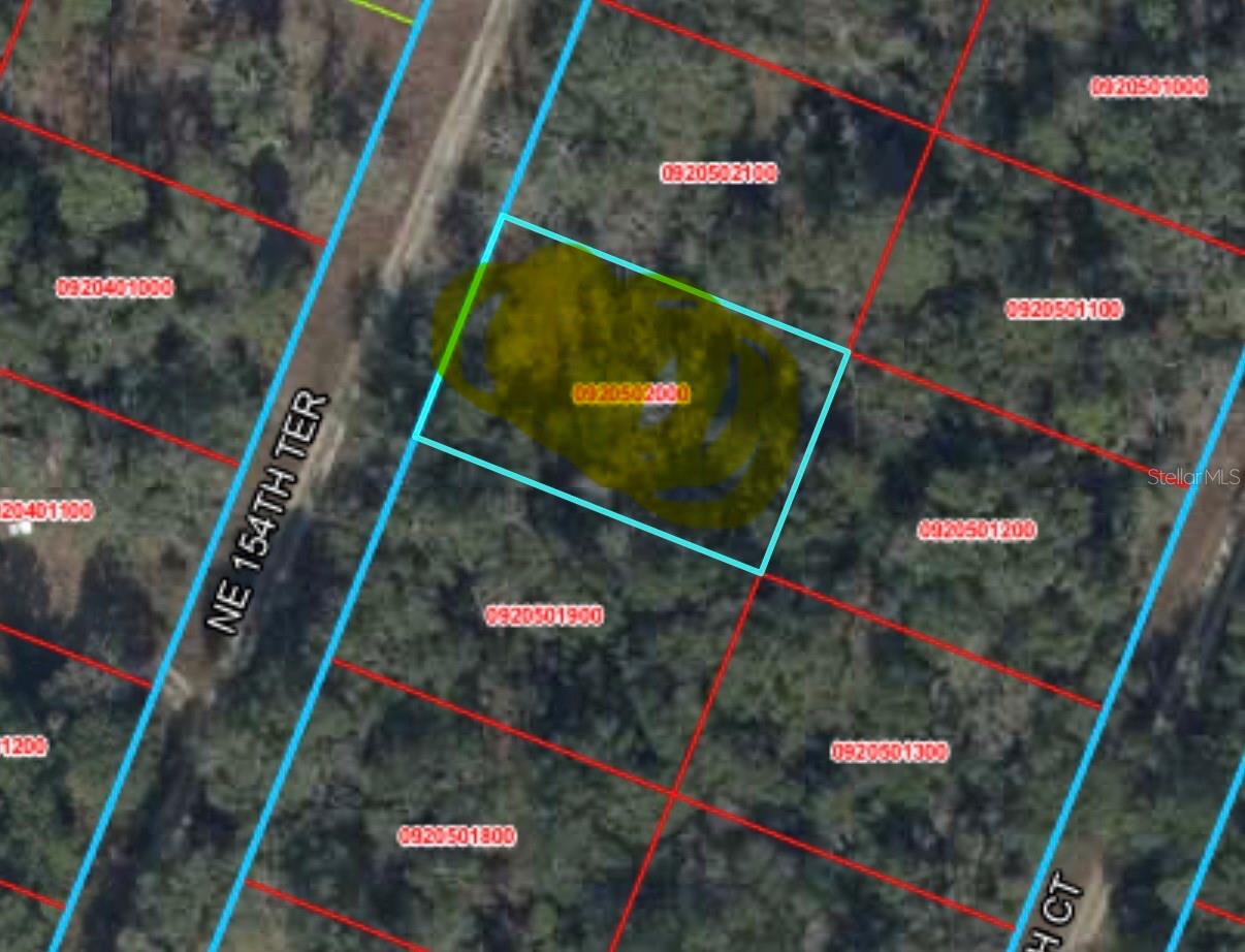 NE 154 TERRACE, WILLISTON, FL, 32696