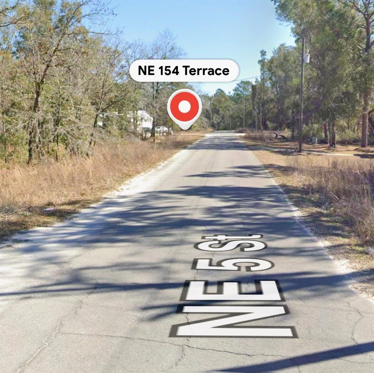 NE 154 TERRACE, WILLISTON, FL, 32696