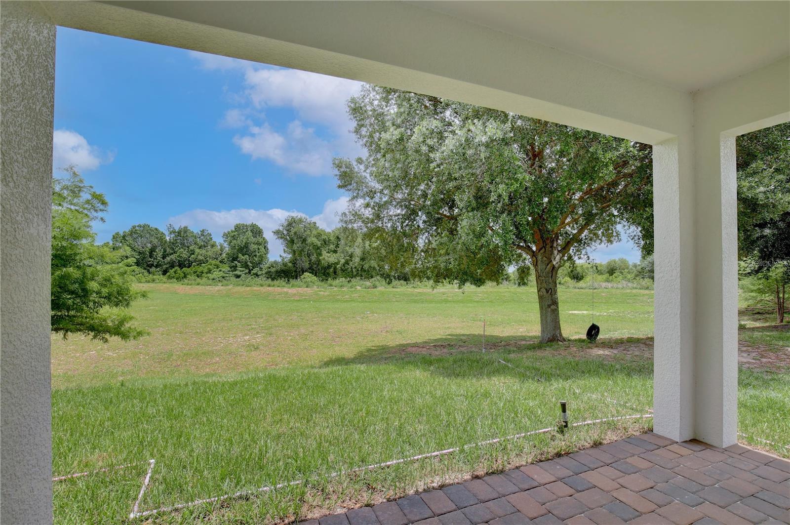 3060 SUNSCAPE TER, GROVELAND, FL, 34736