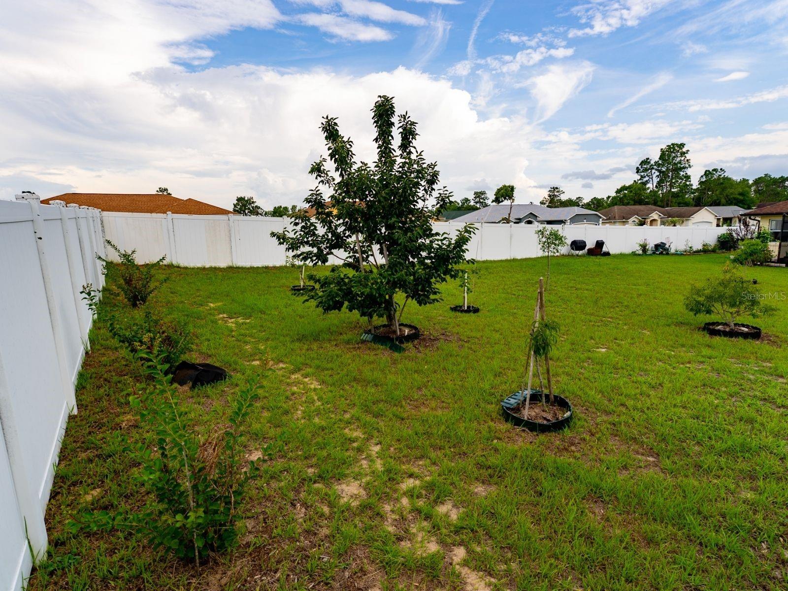 8601 SW 136TH ST, OCALA, FL, 34473