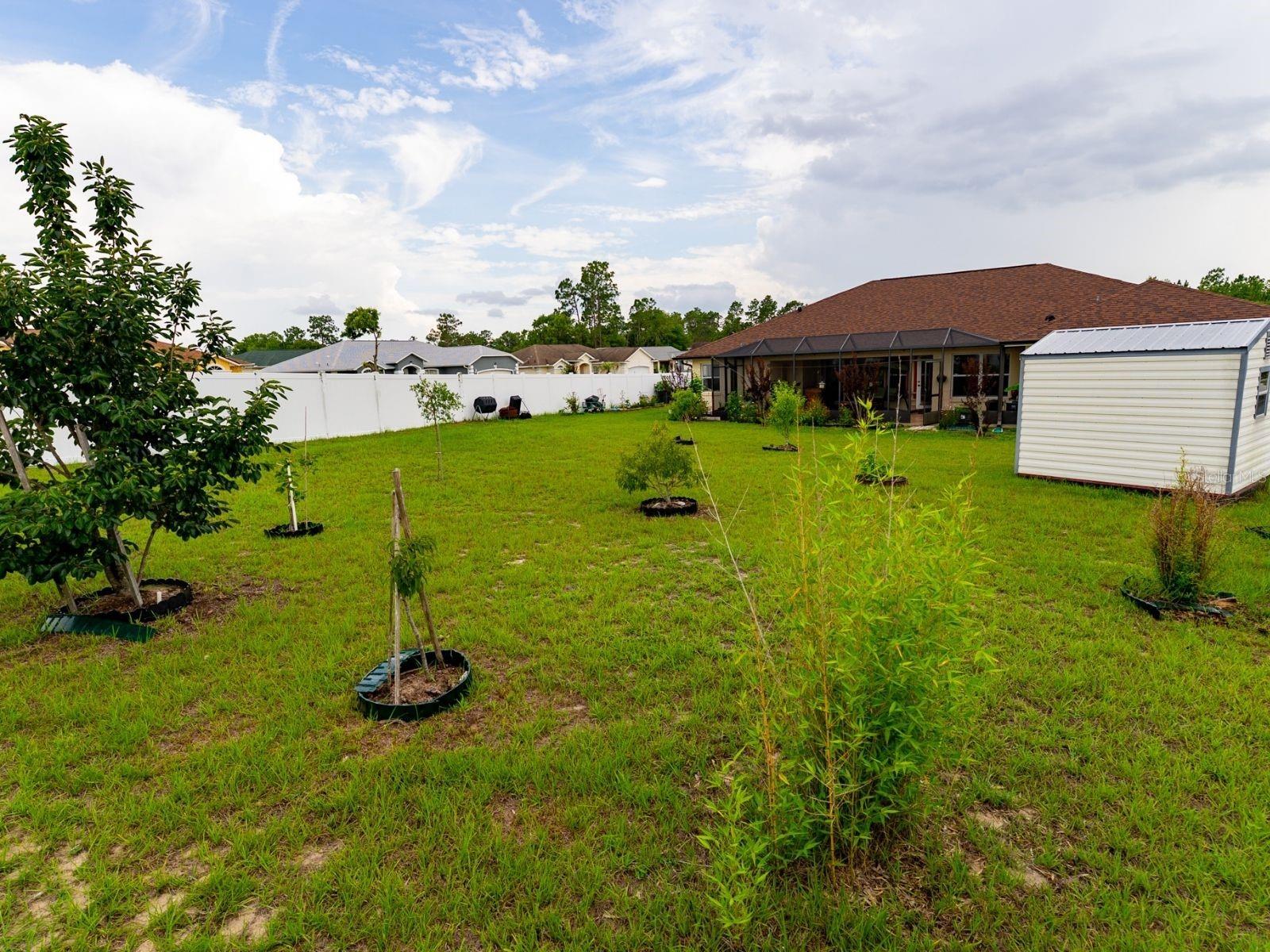 8601 SW 136TH ST, OCALA, FL, 34473