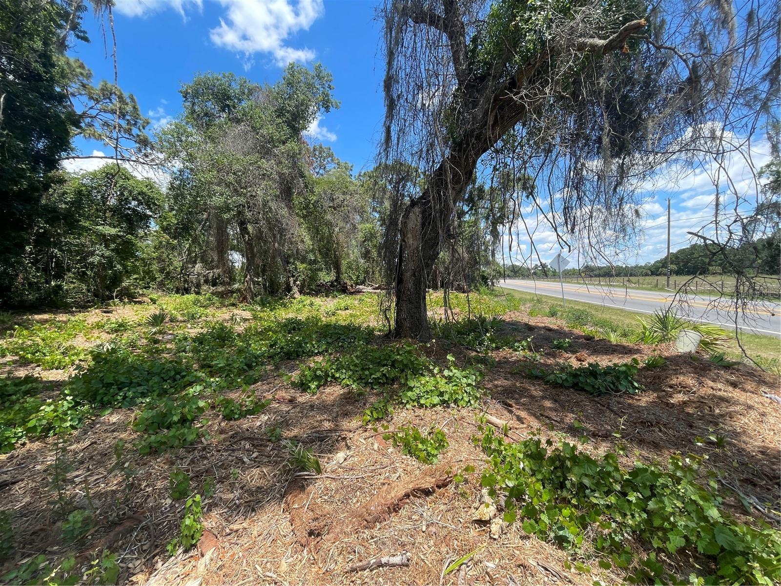 COUNTY ROAD 42, UMATILLA, FL, 32784