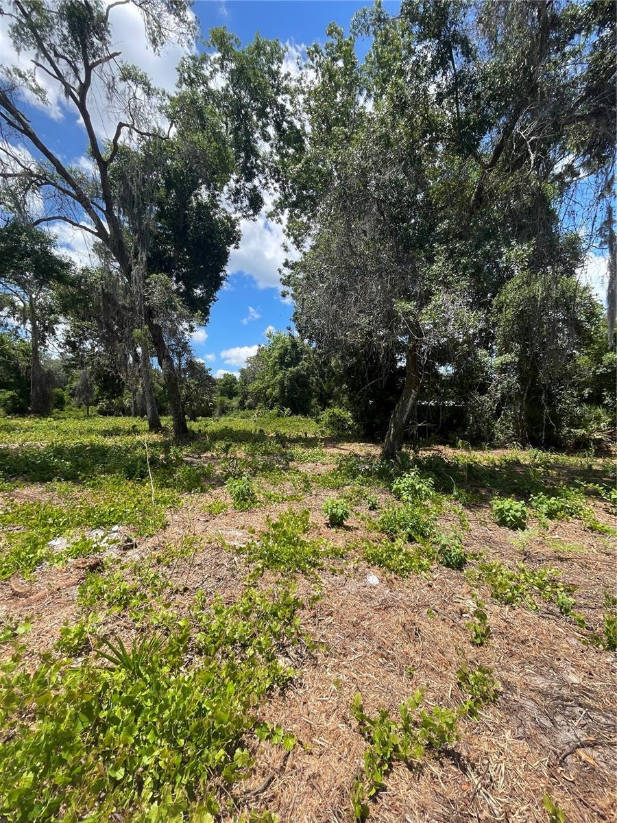 COUNTY ROAD 42, UMATILLA, FL, 32784