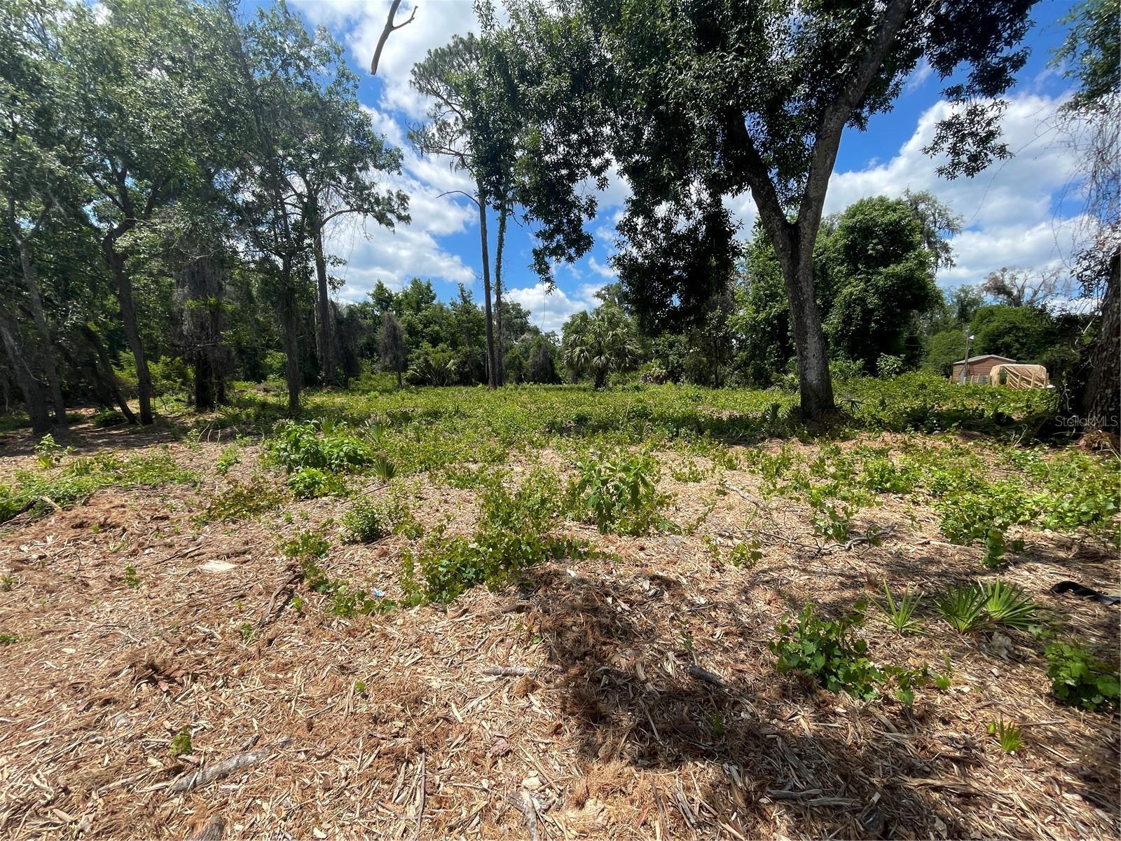 COUNTY ROAD 42, UMATILLA, FL, 32784