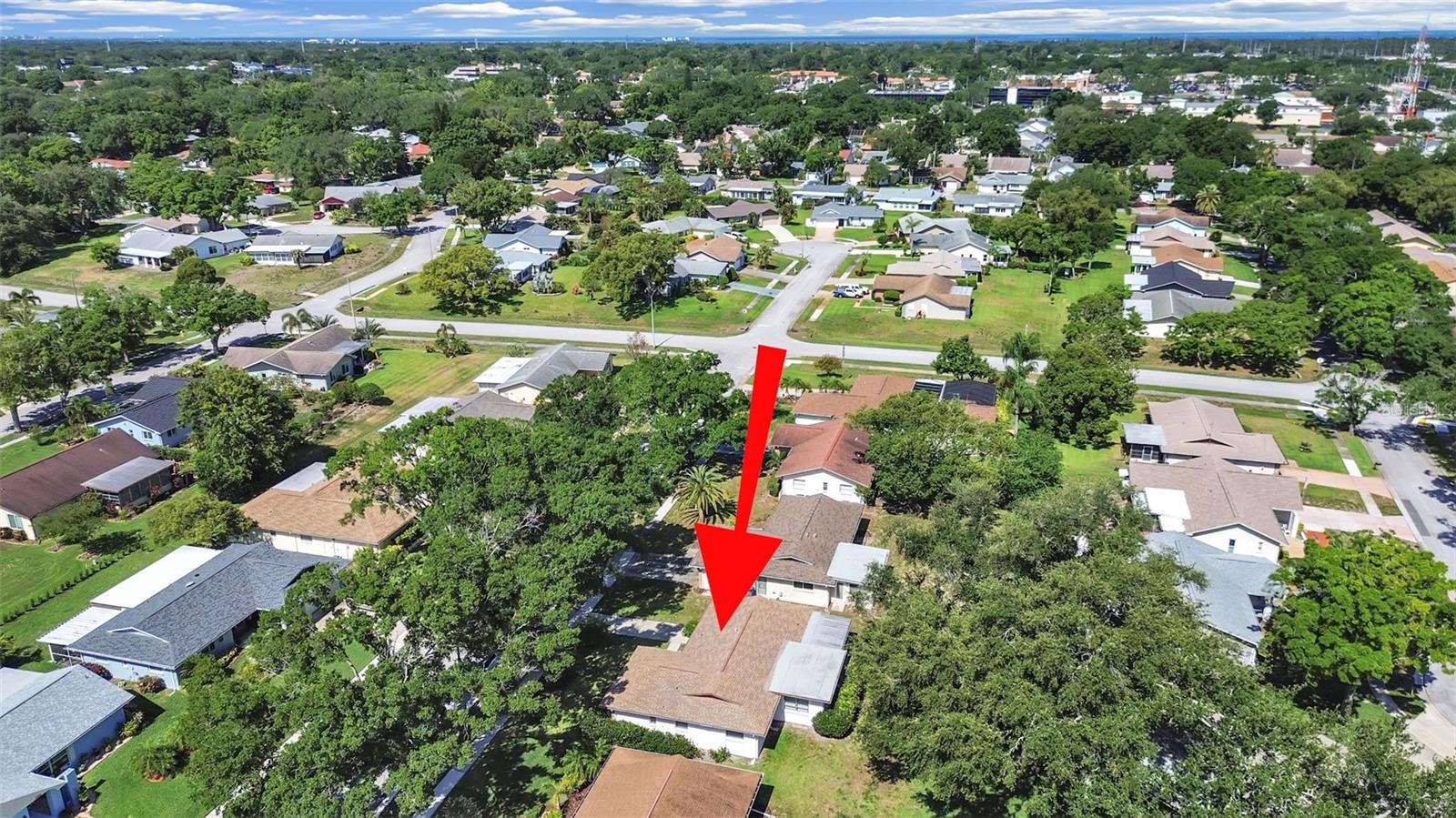 2819 THISTLE CT S, PALM HARBOR, FL, 34684