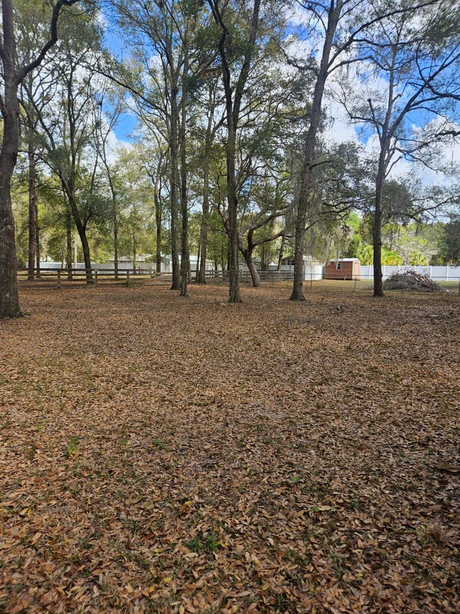 5463 E TANGELO LN, INVERNESS, FL, 34453