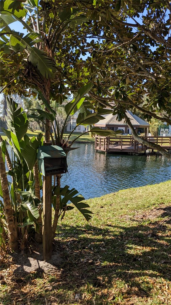 46 EMERALD BAY DR, OLDSMAR, FL, 34677