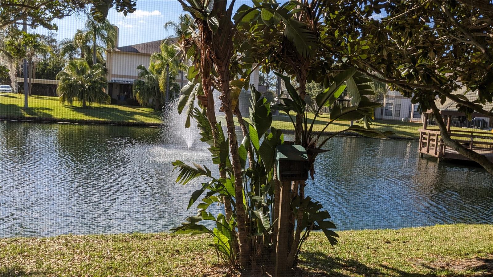 46 EMERALD BAY DR, OLDSMAR, FL, 34677