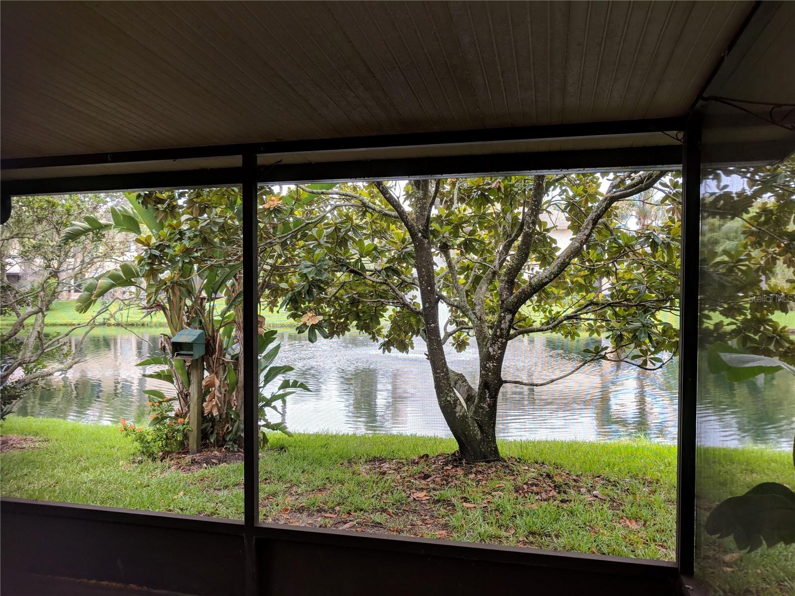 46 EMERALD BAY DR, OLDSMAR, FL, 34677