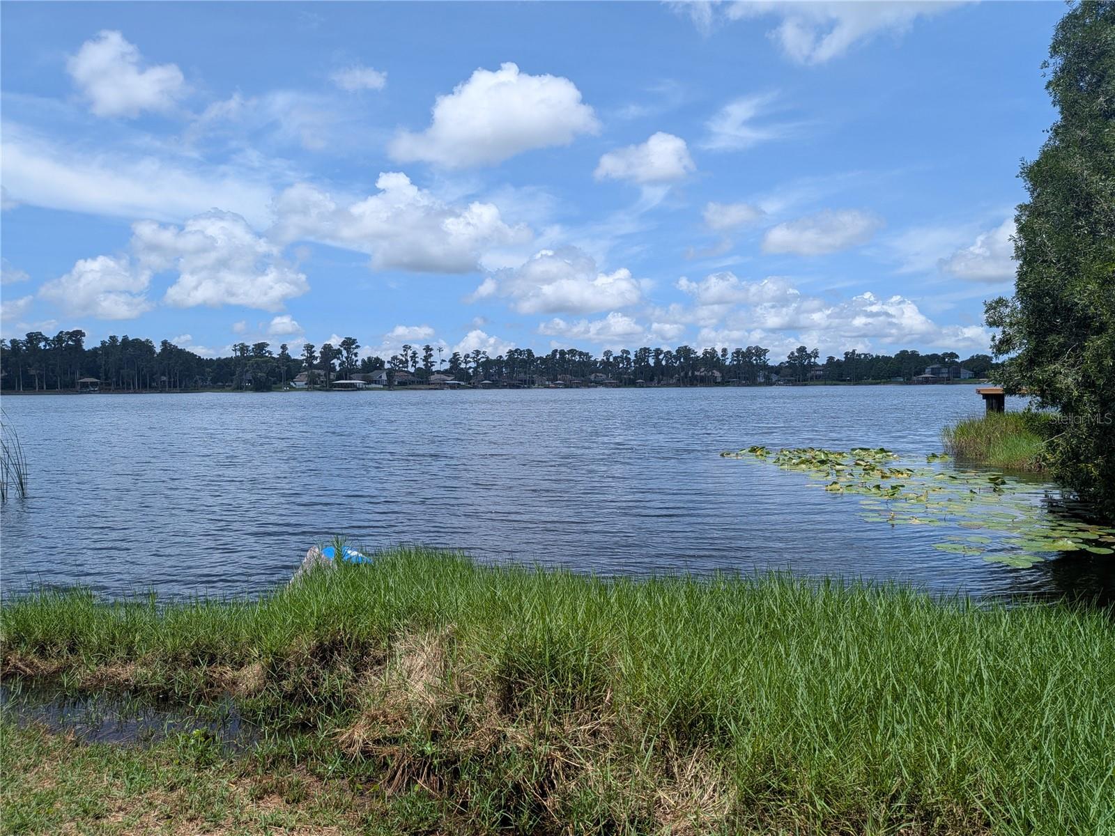 14232 CHISHOLM LN, ODESSA, FL, 33556