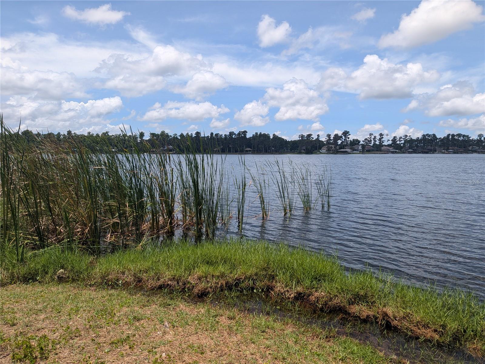 14232 CHISHOLM LN, ODESSA, FL, 33556