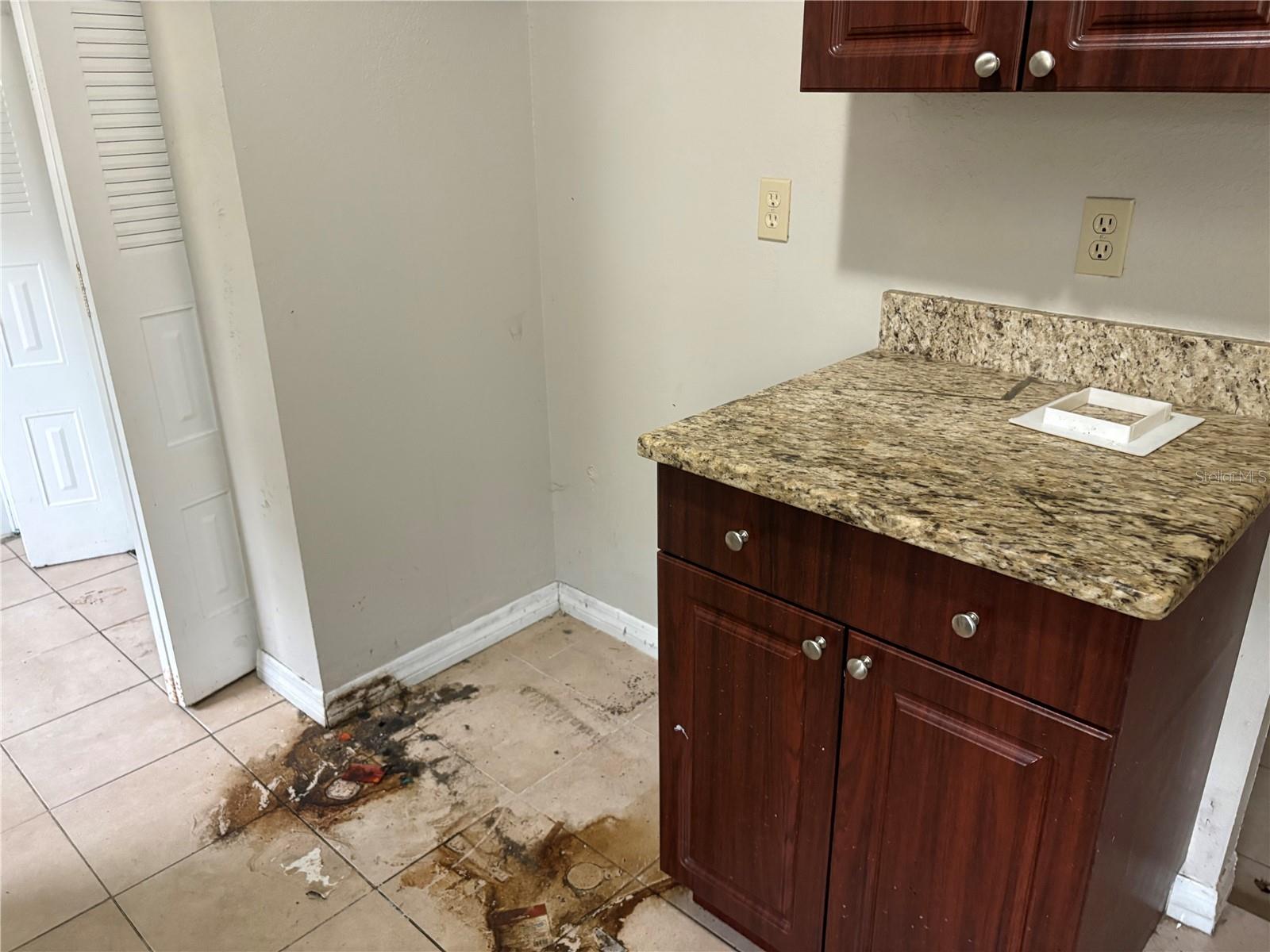 524 WYNNWOOD DR, BRANDON, FL, 33511