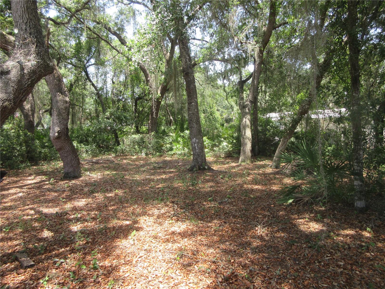 2562 SE 178TH AVE, SILVER SPRINGS, FL, 34488