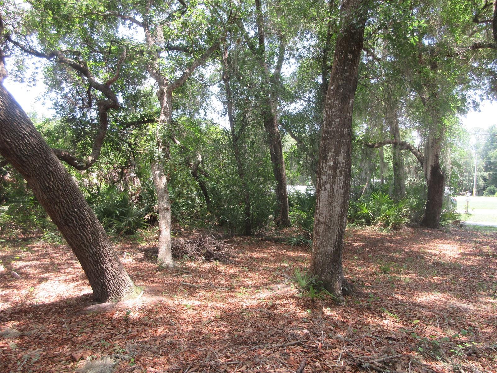 2562 SE 178TH AVE, SILVER SPRINGS, FL, 34488